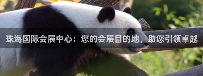 果博注册会员维wckk389：珠海国际会展中心：您的会展目的地，助您引领卓越