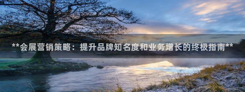 果博平台开户电话是多少：**会展营销策略：提升品牌知名度和业务增长的终极指南**