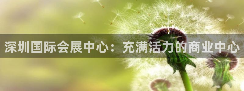 苹果电脑怎么下载伯索：深圳国际会展中心：充满活力的商业中心
