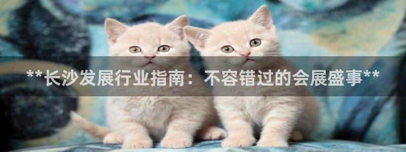 果博账号注册要钱吗：**长沙发展行业指南：不容错过的会展盛事**