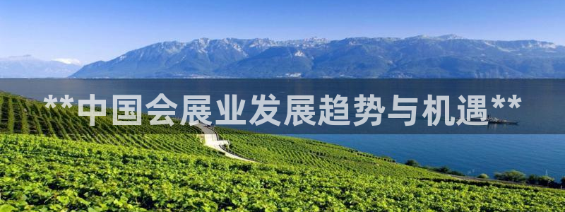 果博怎么注册账号：**中国会展业发展趋势与机遇**