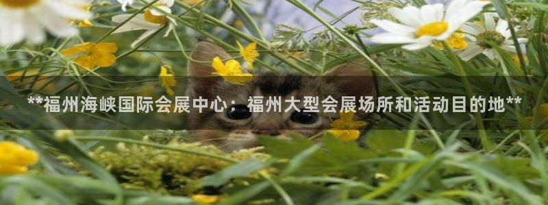 果博客服联系电话：**福州海峡国际会展中心：福州大型会展场所和活动目的地**
