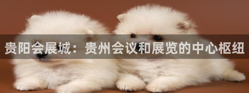 果博账号注册要钱吗：贵阳会展城：贵州会议和展览的中心枢纽
