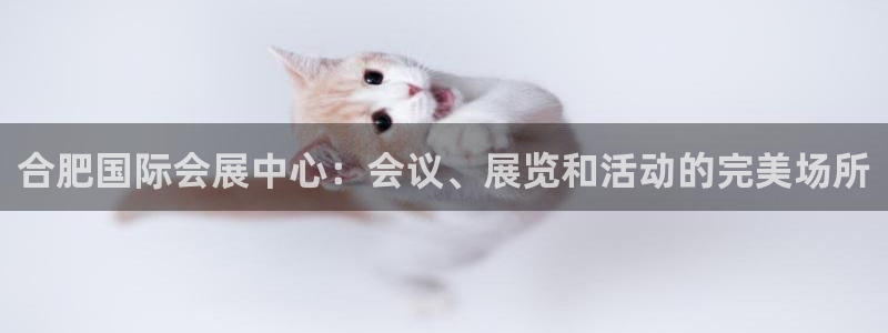 果博平台真实吗安全吗可信吗安全吗：合肥国际会展中心：会议、展览和活动的完美场所