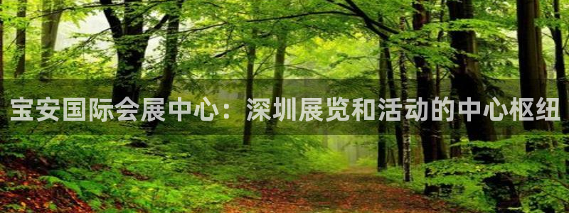 果博手机下载网址：宝安国际会展中心：深圳展览和活动的中心枢纽