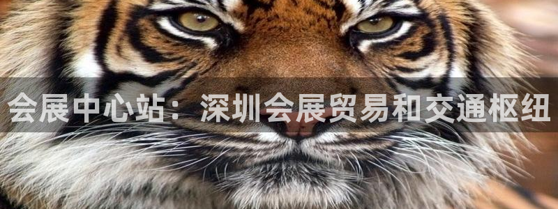 果博官网电话