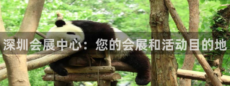 果博平台真实吗安全吗可信吗：深圳会展中心：您的会展和活动目的地