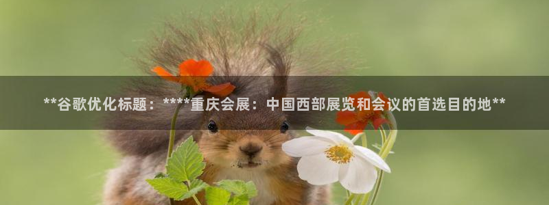 电脑怎么下载果考网：**谷歌优化标题：****重庆会展：中国西部展览和会议的首选目的地**