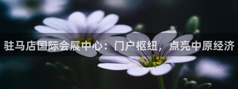果博客服联系电话：驻马店国际会展中心：门户枢纽，点亮中原经济