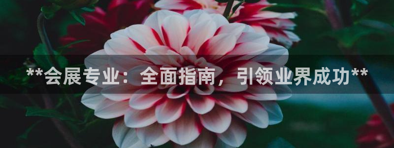 果博环保公司：**会展专业：全面指南，引