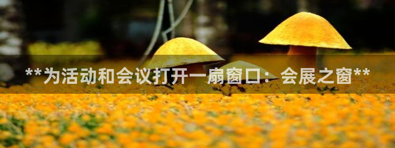 果博代理怎么注册：**为活动和会议打开一扇窗口：会展之窗**