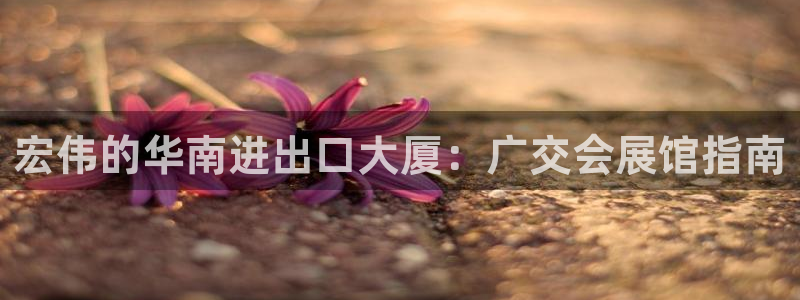 果博注册平台怎么注册不了：宏伟的华南进出口大厦：广交会展馆指南