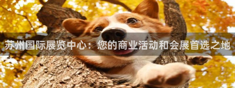 果博客服电话哪里找啊：苏州国际展览中心：您的商业活动和会展首选之地