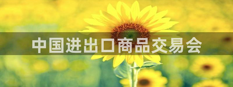 果博代理：中国进出口商品交易会