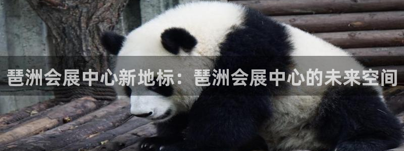 果博公司网站：琶洲会展中心新地标：琶洲会展中心的未来空间