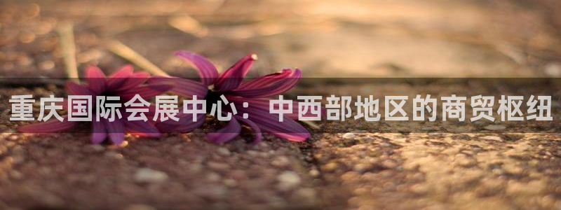 果博平台怎么下载?：重庆国际会展中心：中西部地区的商贸枢纽