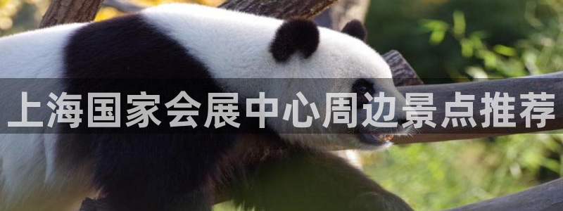 果搏代理：上海国家会展中心周边景点推荐