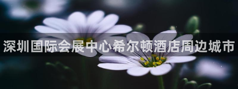 果博注册充值多少钱：深圳国际会展中心希尔顿酒店周边城市
