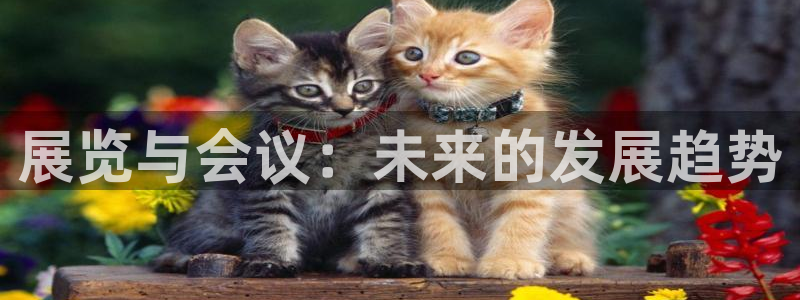 果博平台真实吗：展览与会议：未来的发展趋势