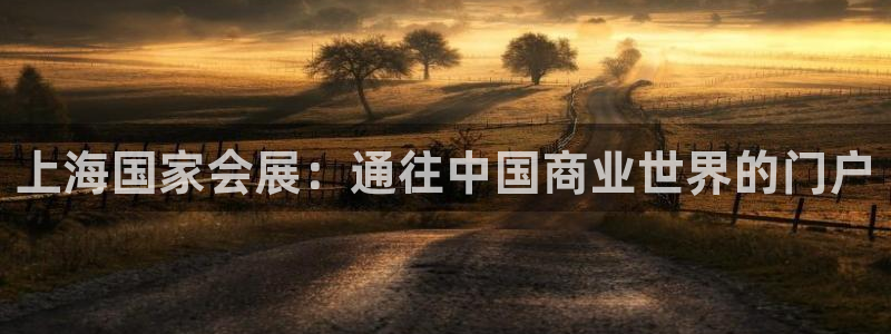 果博注册平台怎么注册不了：上海国家会展：通往中国商业世界的门户