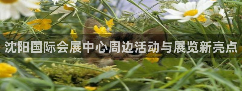 果博注册客服电话号码：沈阳国际会展中心周边活动与展览新亮点