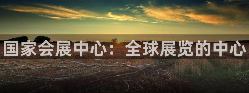 果博公司客服怎么样：国家会展中心：全球展览的中心