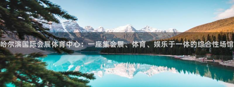 果博怎么注册账号：哈尔滨国际会展体育中心：一座集会展、体育、娱乐于一体的综合性场馆