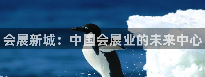 电脑怎么下载果考网：会展新城：中国会展业的未来中心