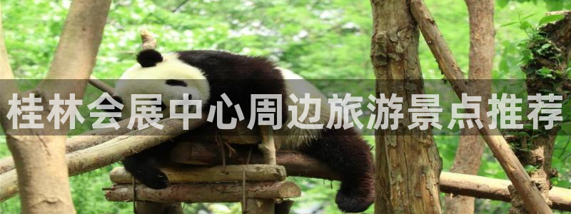 果博公司客服微信怎么加：桂林会展中心周边旅游景点推荐