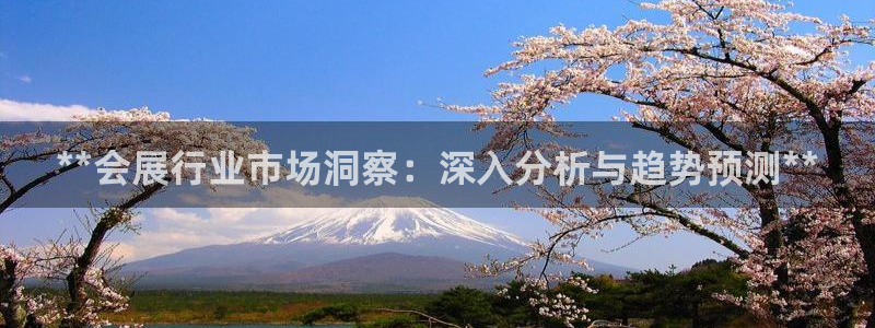 果博官网首页：**会展行业市场洞察：深入分析与趋势预测**