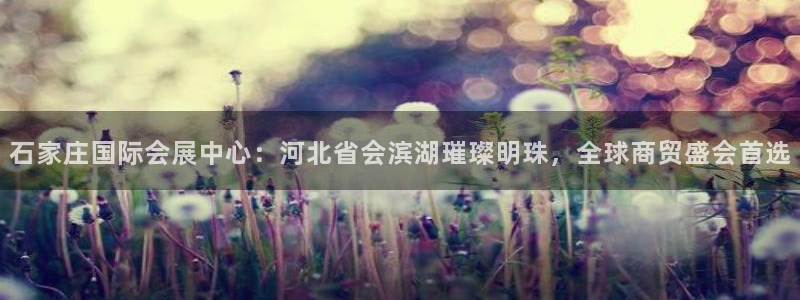 果博公司会员注册：石家庄国际会展中心：河北省会滨湖璀璨明珠，全球商贸盛会首选