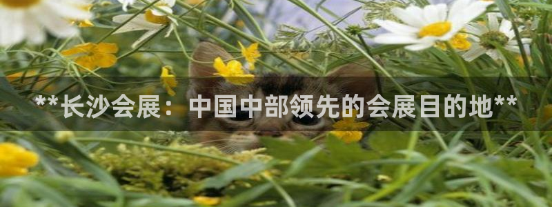 果博官网客服电话号码是多少：**长沙会展：中国中部领先的会展目的地**