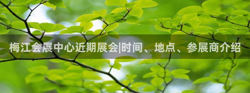 果搏代理：梅江会展中心近期展会|时间、地点、参展商介绍