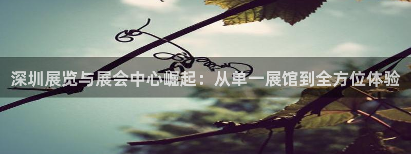 果博公司客服电话：深圳展览与展会中心崛起：从单一展馆到全方位体验