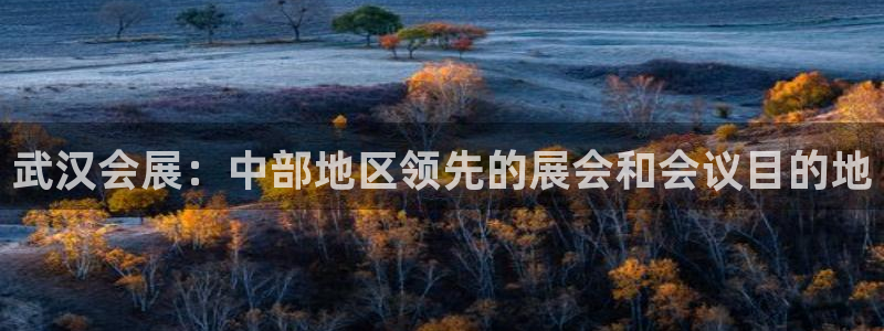 果博注册会员怎么注销：武汉会展：中部地区