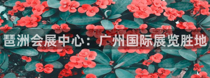 果博公司会员注册账号开户：琶洲会展中心：广州国际展览胜地