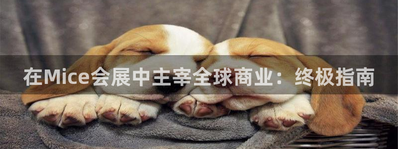 果博公司游戏网址：在Mice会展中主宰全球商业：终极指南
