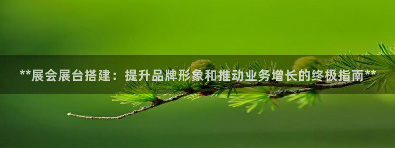 果博注册链接：**展会展台搭建：提升品牌形象和推动业务增长的终极指南**