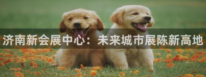 果博手机下载：济南新会展中心：未来城市展陈新高地