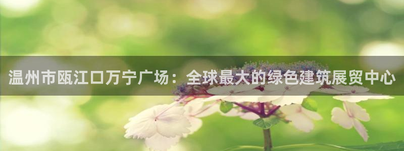 果博怎么注册账号：温州市瓯江口万宁广场：全球最大的绿色建筑展贸中心
