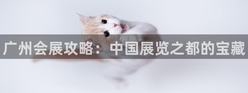 果博手机版下载：广州会展攻略：中国展览之都的宝藏