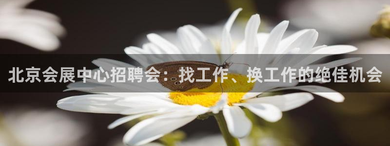 果博公司客服微信怎么加：北京会展中心招聘会：找工作、换工作的绝佳机会