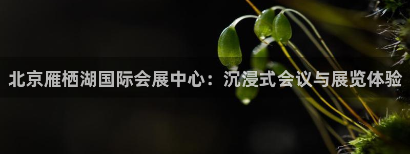 果博平台赖不赖：北京雁栖湖国际会展中心：沉浸式会议与展览体验
