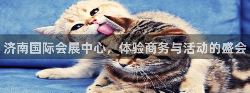 果博总台电话：济南国际会展中心，体验商务与活动的盛会