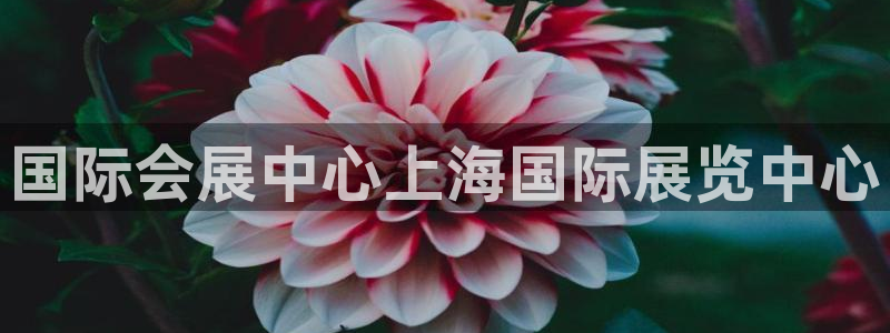 果博平台开户电话号码：国际会展中心上海国际展览中心