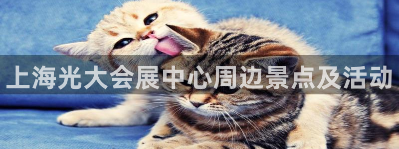 果博环保公司：上海光大会展中心周边景点及活动