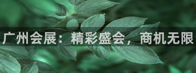 果博官方热线：广州会展：精彩盛会，商机无限