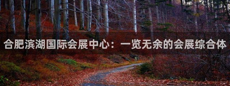 苹果电脑怎么下载博弈大师等软件：合肥滨湖国际会展中心：一览无余的会展综合体