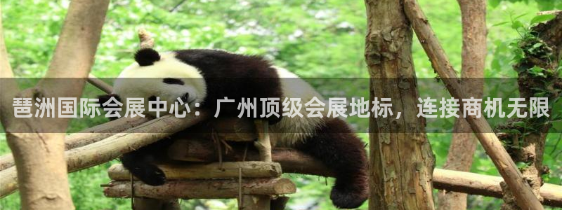 果博公司会员开户：琶洲国际会展中心：广州顶级会展地标，连接商机无限
