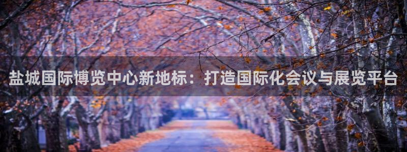 果博有假吗：盐城国际博览中心新地标：打造国际化会议与展览平台